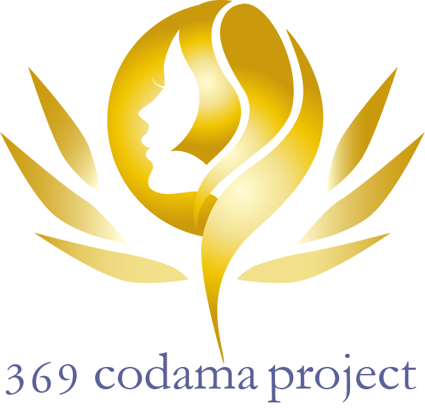 369codama project